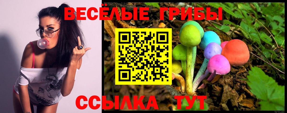 Псилоцибиновые грибы Psilocybine cubensis  Вход с VPN  Новодвинск  Псилоцибиновые грибы мухоморы 
